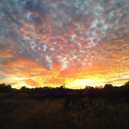 Cacador * Vila Cha de Braciosa