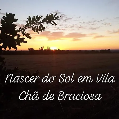 O Caçador *