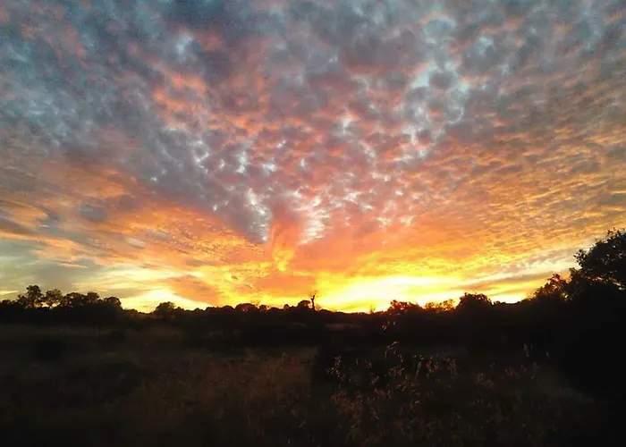 Cacador * Vila Cha de Braciosa